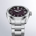Spring Drive U.F.A. SLGB005