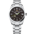 Spring Drive SBGA429