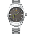 Spring Drive SBGA429
